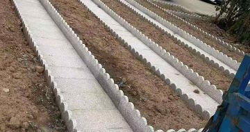 深圳芝麻白花边石