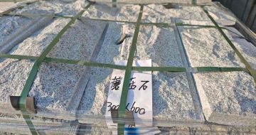 深圳芝麻白蘑菇石，自然面